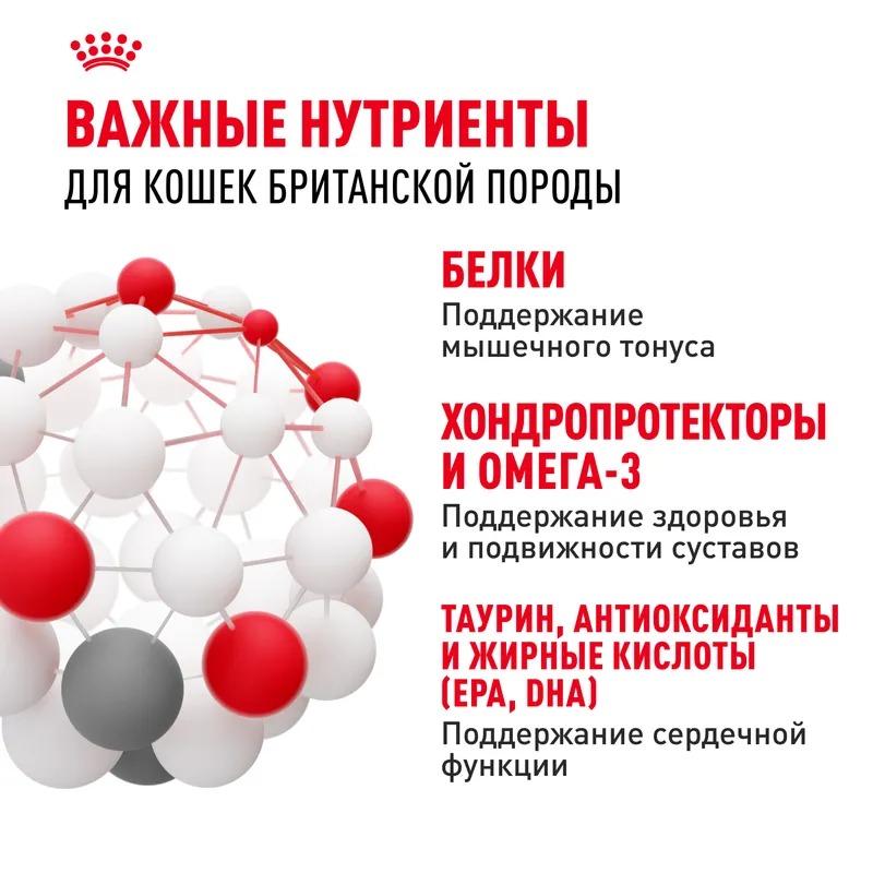 ROYAL CANIN British Adult корм для Британских кошек 2 кг 4627109382484