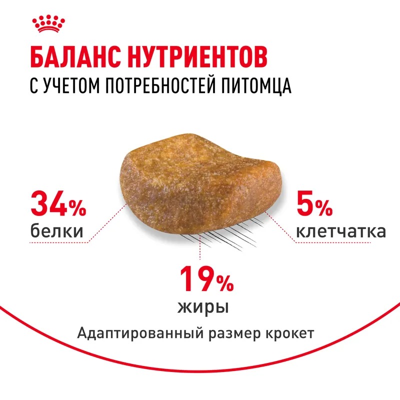 ROYAL CANIN British Adult корм для Британских кошек 400 гр 4627109382460
