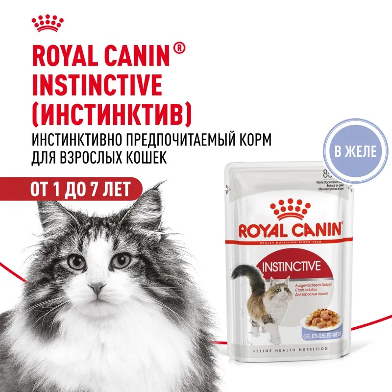 ROYAL CANIN Instinctive Корм желе для кошек 1шт-85гр 4627150233902