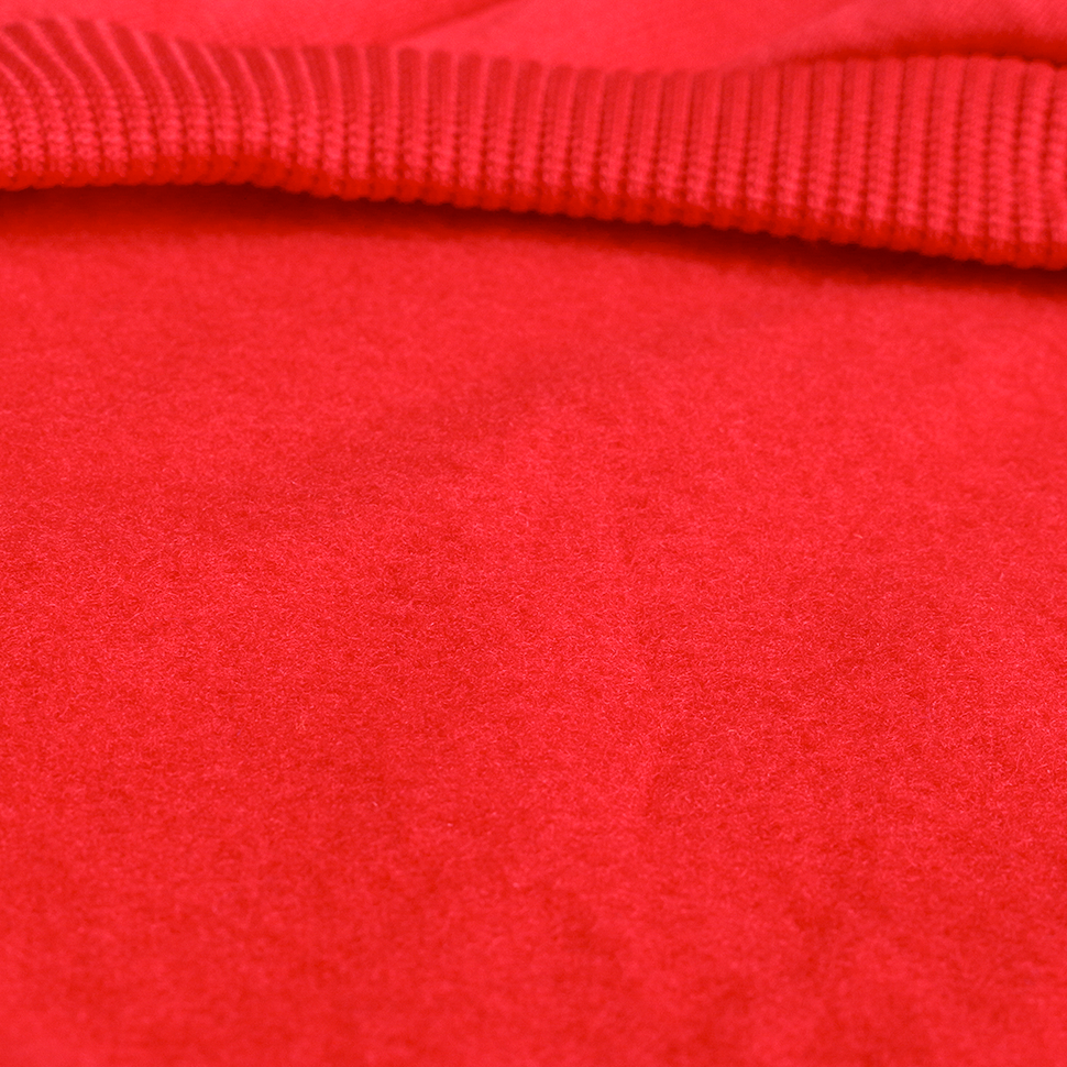 Худи для собак LionPets LPH-51 (Красный) (Размер S (спинка 20 см))