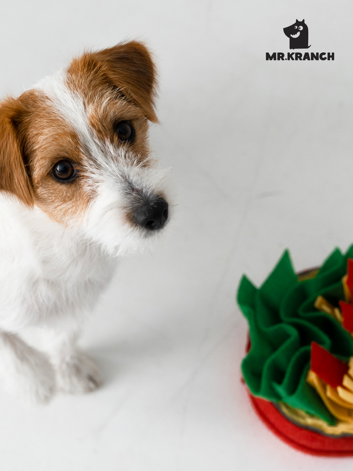 Нюхательная игрушка Mr.Kranch Пицца, размер 18x18см