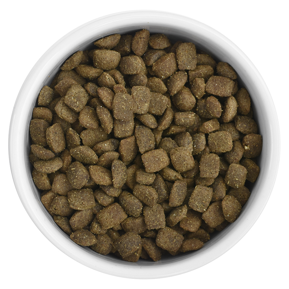 FLORIDA. Hypoallergenic Сухой корм для собак с индейкой 600 грамм 4640201670785