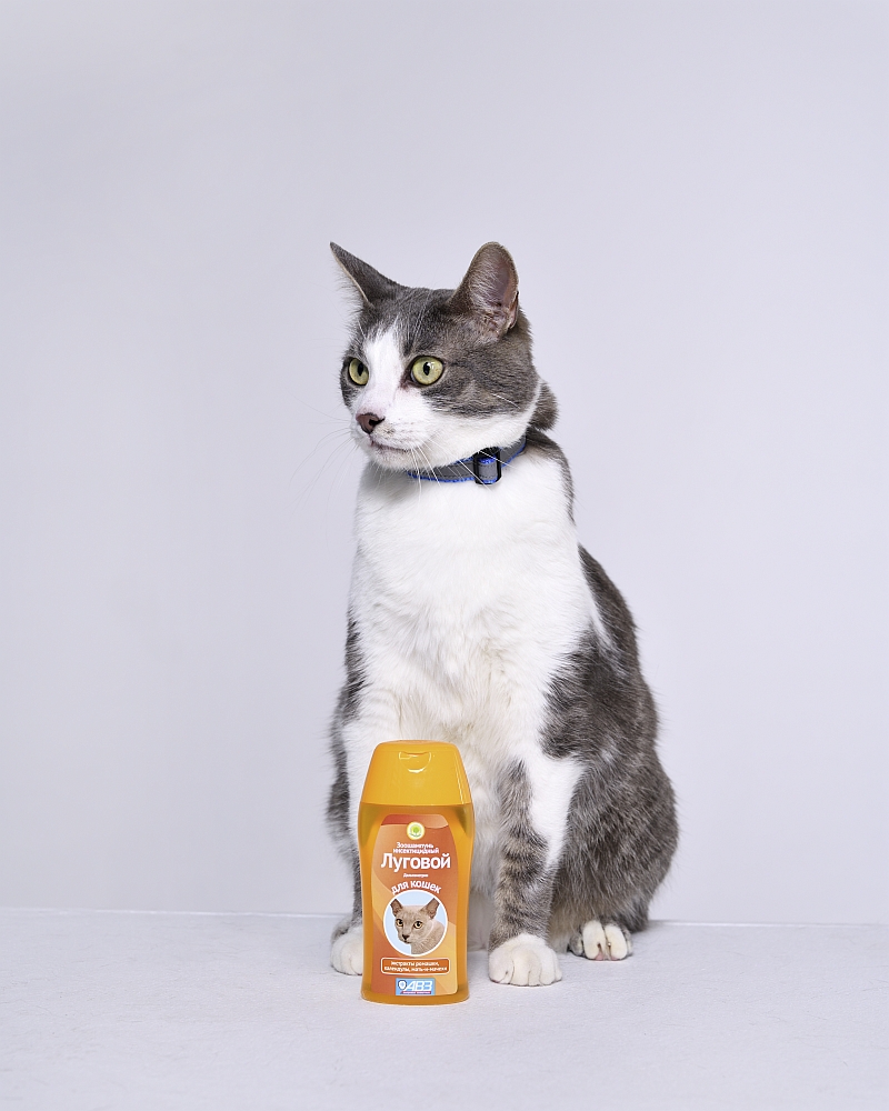 АВЗ Шампунь "Луговой" для кошек, 180мл (НЕ ЗАКАЗЫВАТЬ!!!)