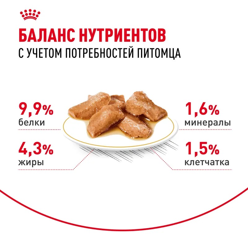 ROYAL CANIN Корм соус кошка породы Мэйн Кун 1шт-85гр 4627180240277