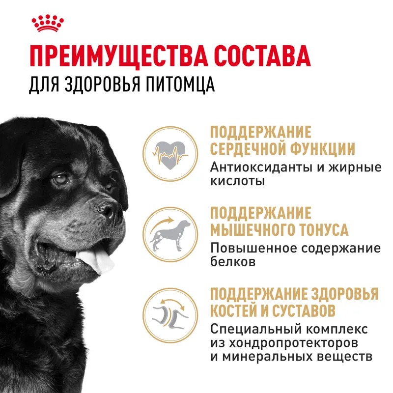 Royal Canin Сухой корм для собак Rottweiler Adult, для породы Ротвейлер 12 кг