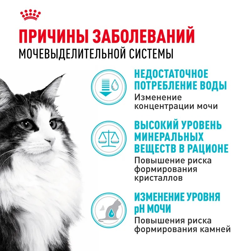 ROYAL CANIN Urinary Care Корм сухой диетический для кошек при МКБ 2 кг 4690553016588