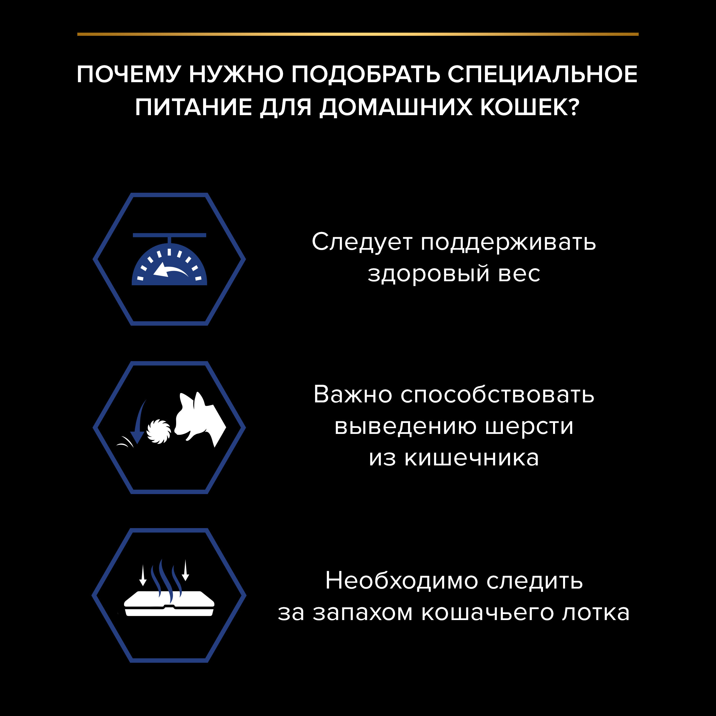 PRO PLAN INDOOR Влажный корм для взрослых домашних кошек, с лососем в соусе, 85г 7613034756282