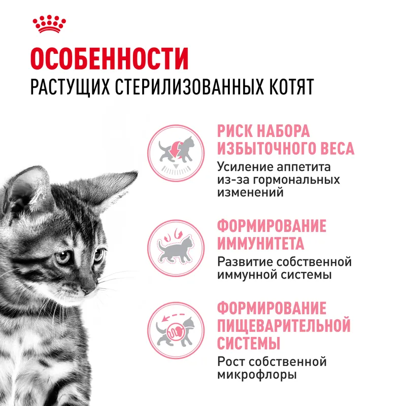 Сухой корм Royal Canin Kitten Sterilised, для стерилизованных котят в возрасте от 6 до 12 мес. 400 г