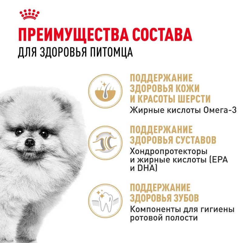 Royal Canin Сухой корм для собак  Pomeranian Adult, для породы Померанский Шпиц 500 г