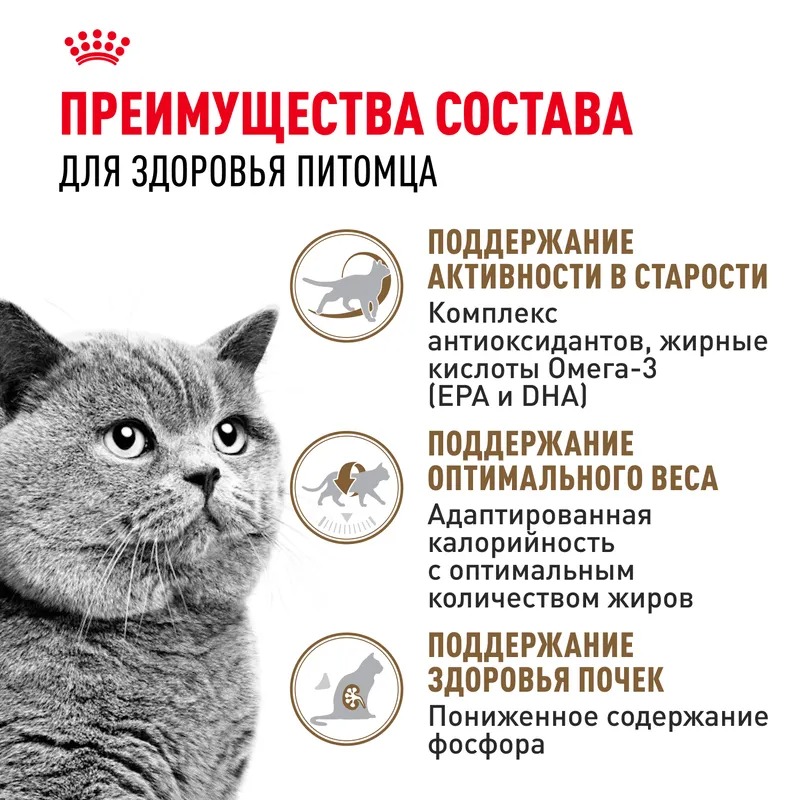 ROYAL CANIN Ageing 12+корм для стерилизованных стареющих кошек 400 гр 4627109380176