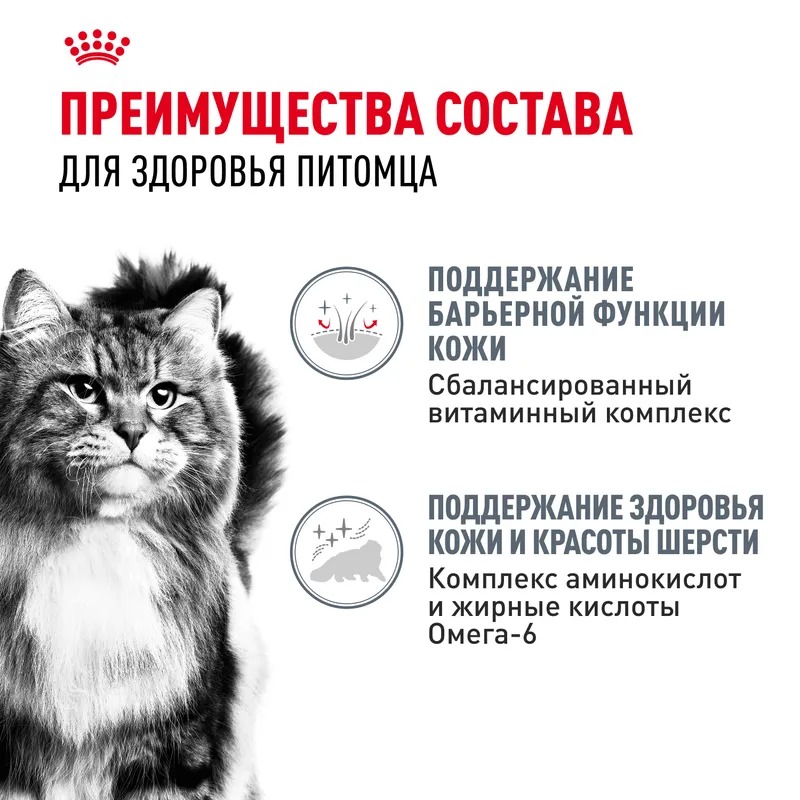 ROYAL CANIN Паучи для кошек "Royal Canin Hair&Skin" (Роял Канин) здоровье кожи и шерсти в желе 1шт-85гр 4627180245166