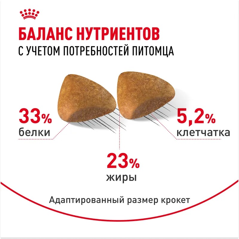 ROYAL CANIN Sphynx сухой корм для взрослых кошек породы Сфинкс 400 гр 4627109382415