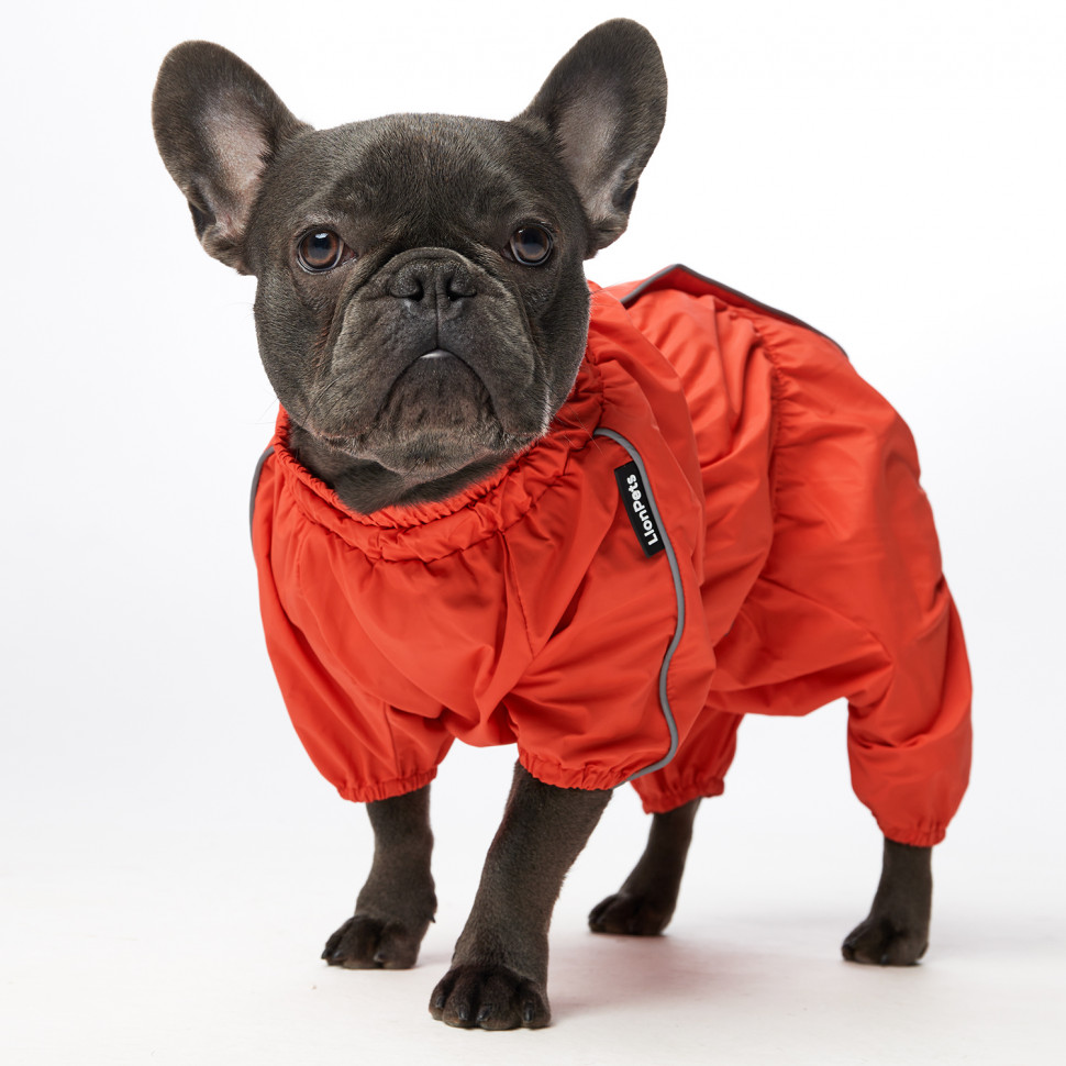 Дождевик LionPets Мопс LPK9325-29 на девочку Цвет: Оранжевый