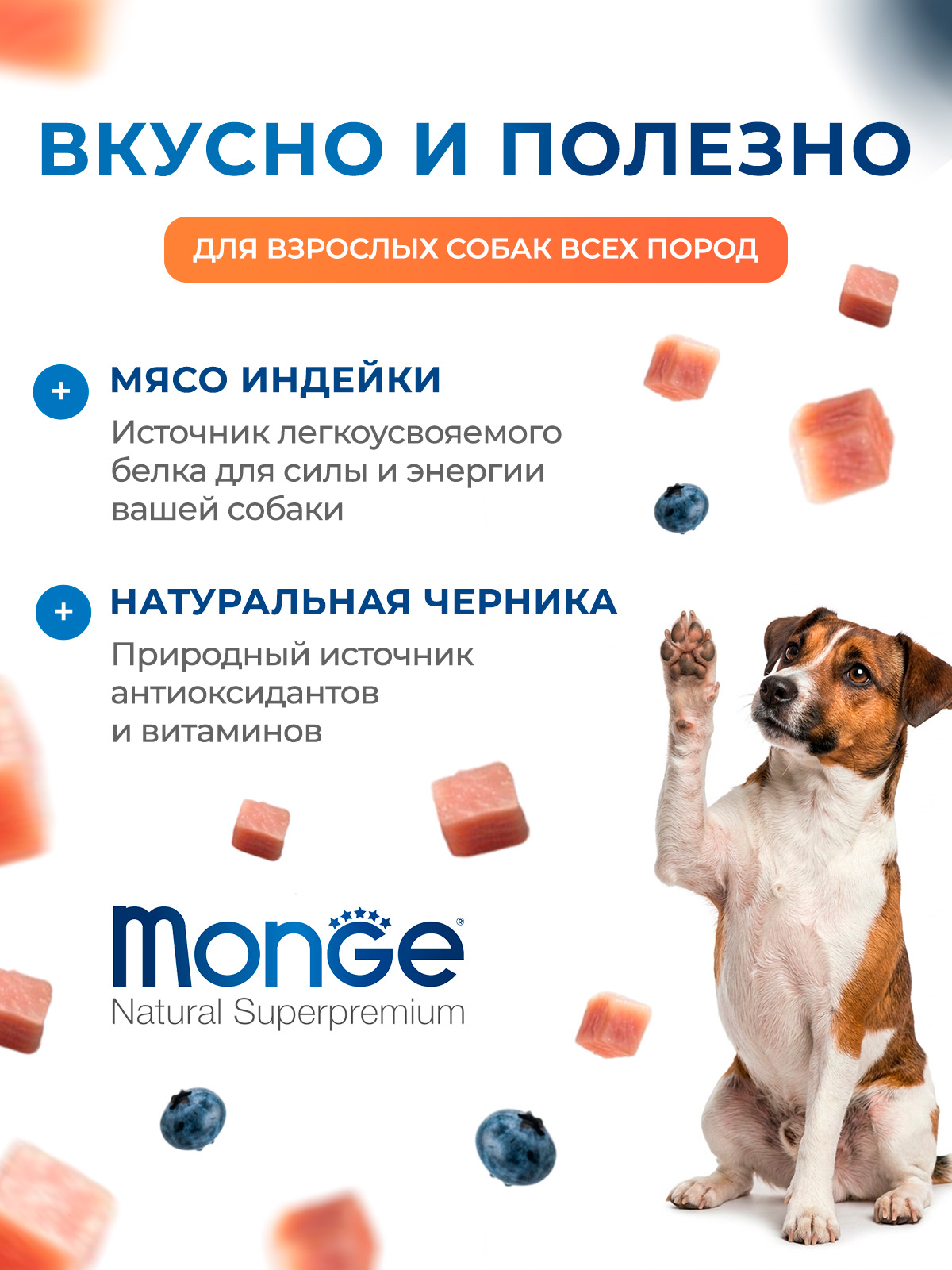 Влажный корм Monge Dog Fruit для собак,с индейкой с черникой, консервы 100 г