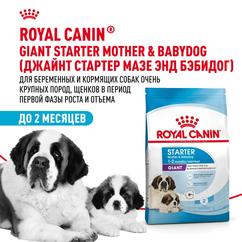 Сухой корм Royal Canin Giant Starter (Джайнт Стартер) для щенков очень крупных размеров до 2-х месяцев, беременных и кормящих сук, 15 кг