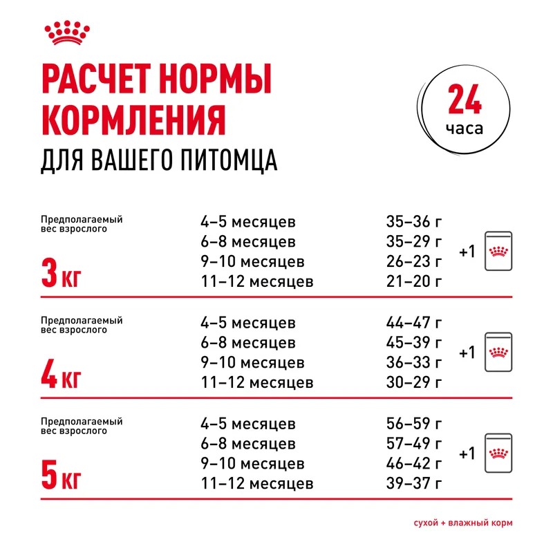 ROYAL CANIN British Kitten корм для Британских котят 2 кг 4627109383351