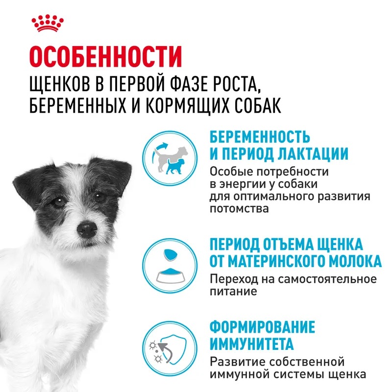 ROYAL CANIN Mini Starter Корм для щенков мелких пород до 2 месяцев 1 кг 4627109384440