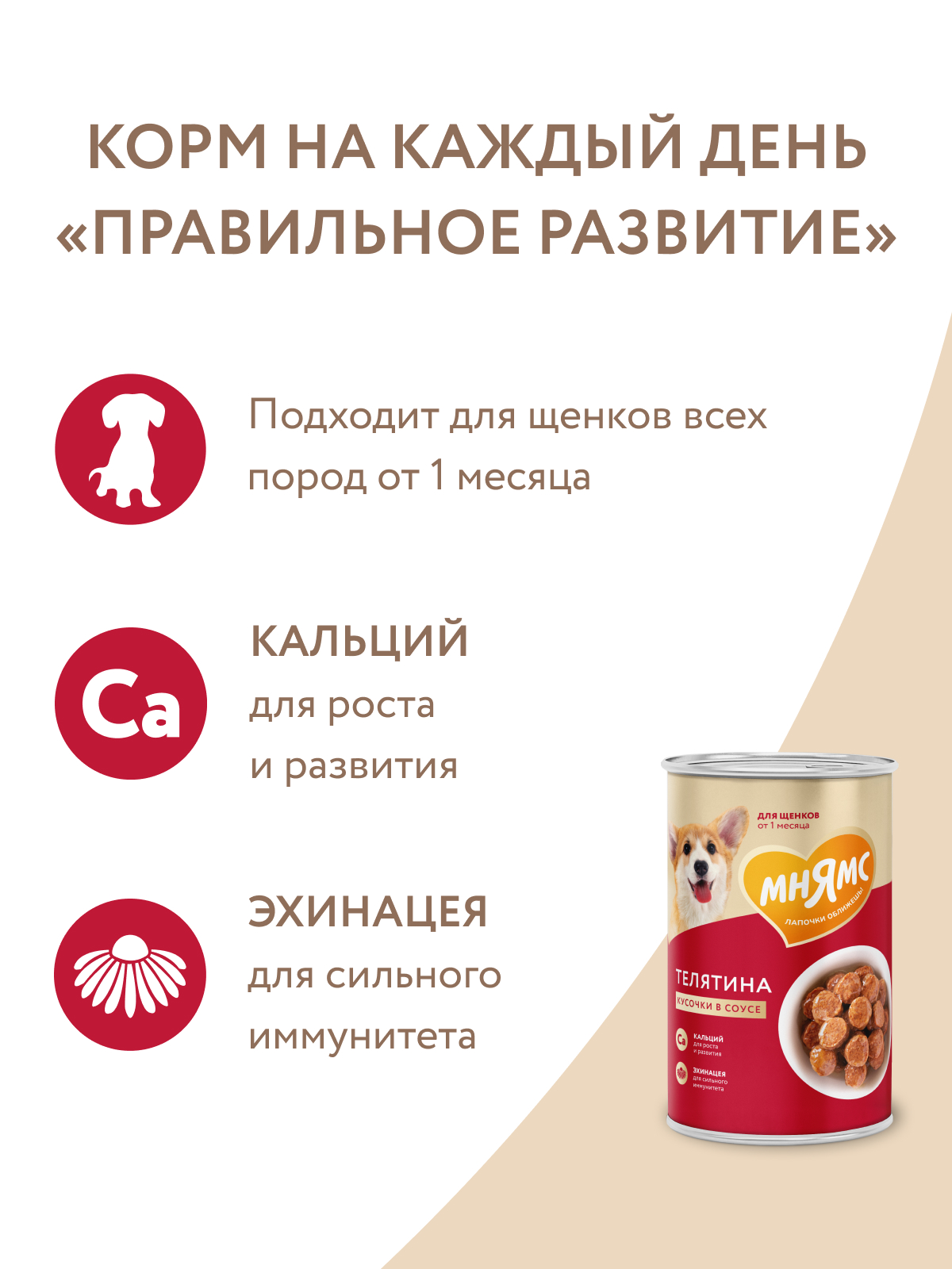 Мнямс  Влажный корм На каждый день Кусочки в соусе с телятиной для щенков «ПРАВИЛЬНОЕ РАЗВИТИЕ» 400 г