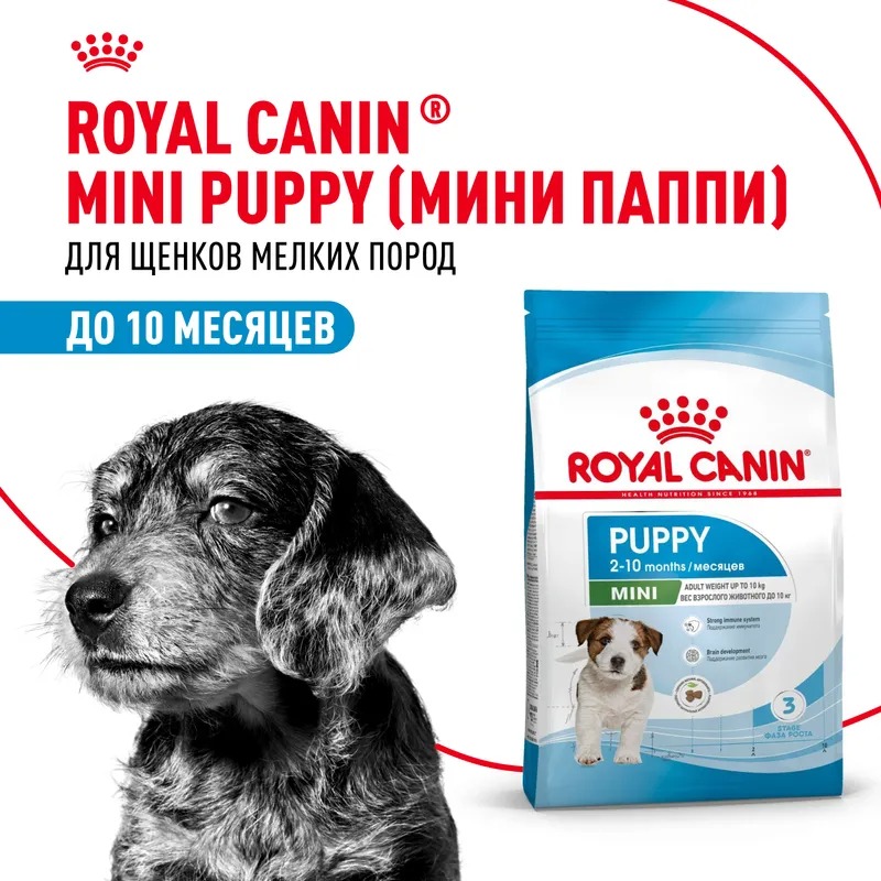 Сухой корм ROYAL CANIN Mini Puppy для щенков мелких пород до 10 месяцев 4 кг 4627109387625