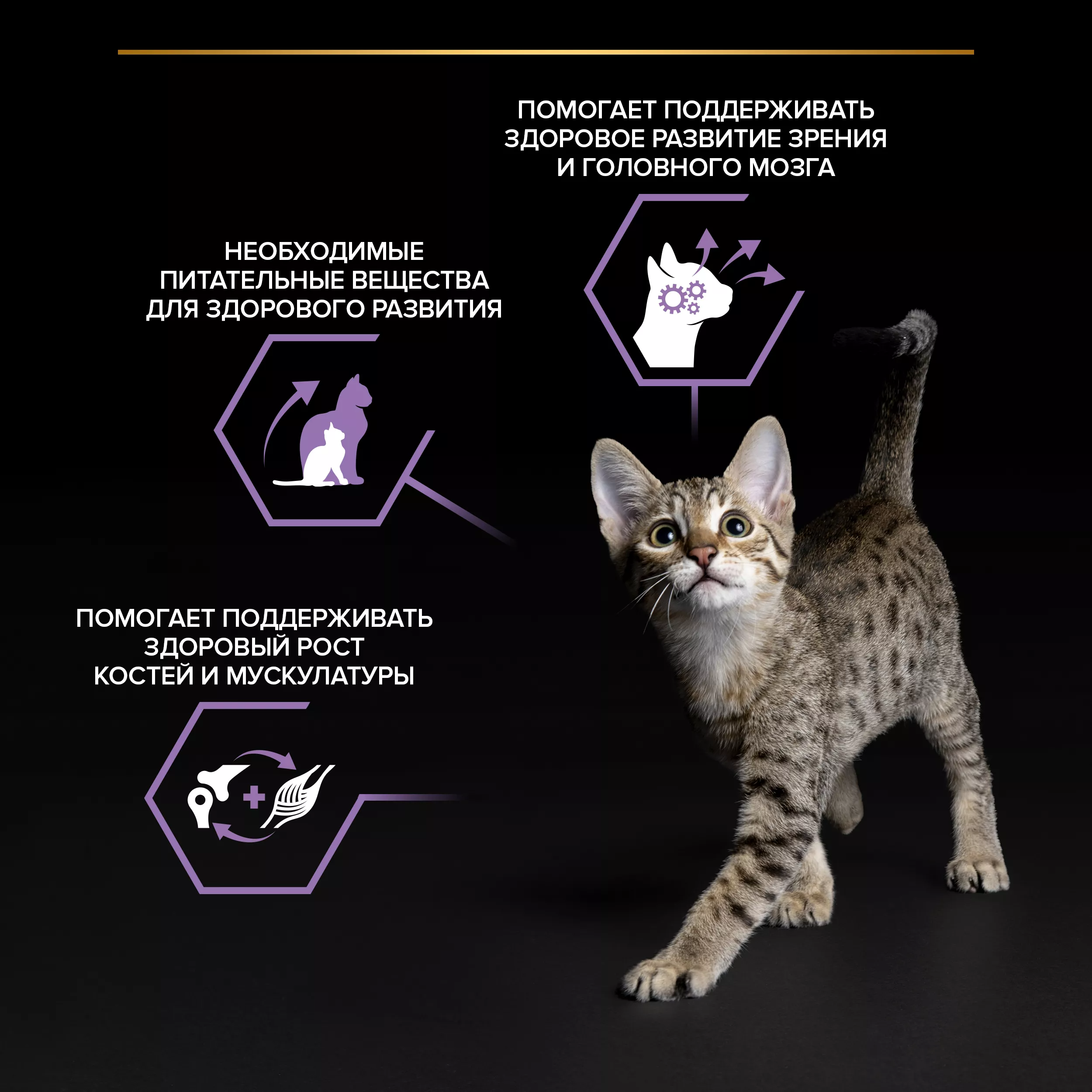 Влажный корм PRO PLAN HEALTHY START для котят с говядиной в соусе, с индейкой в соусе и с курицей в желе 85 г х 10 шт