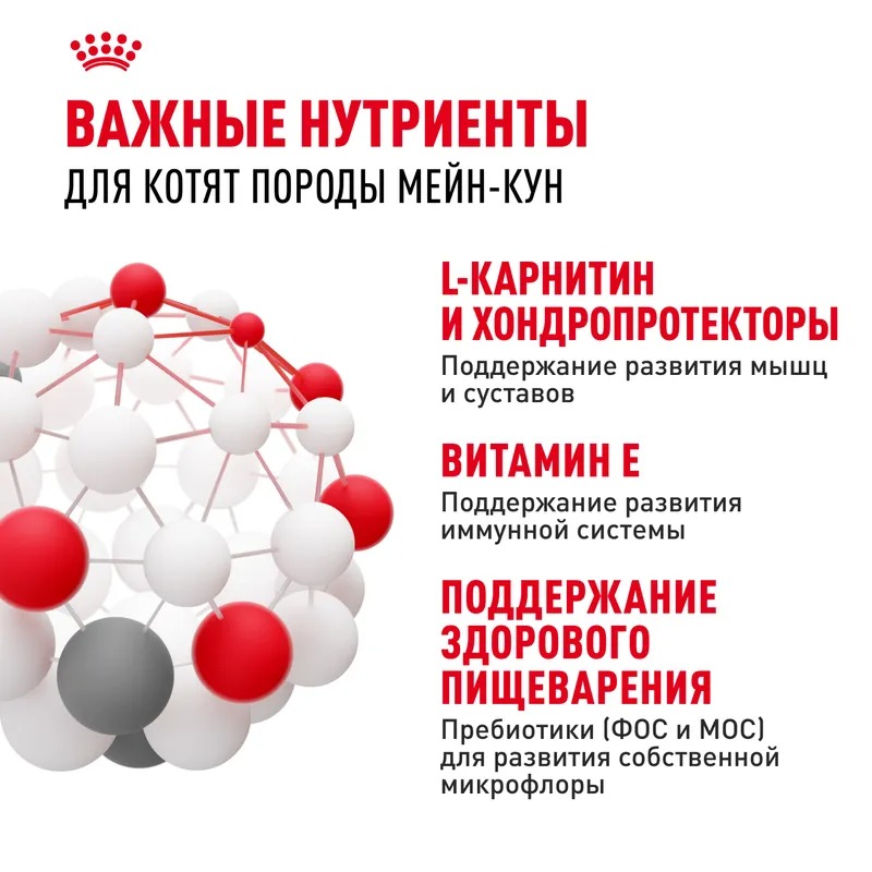 ROYAL CANIN Maine Coon Сухой корм для котят породы Мэйн Кун 400 гр 4627109383269