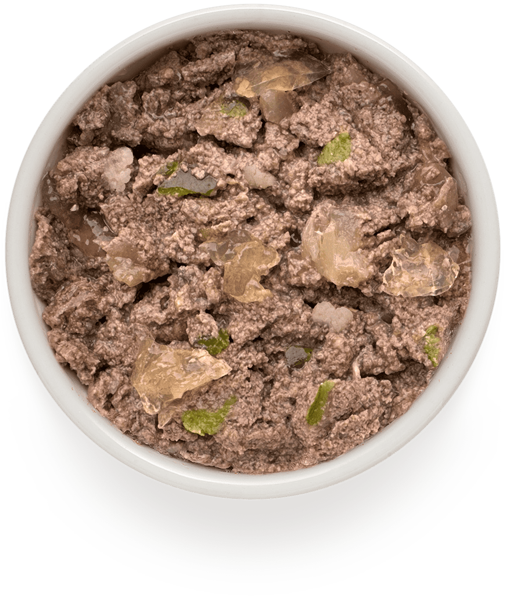 Grandorf Fresh Консервы для собак паштет из ягненка с цукини 200гр