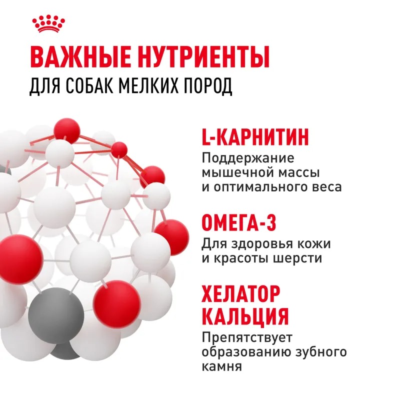 ROYAL CANIN ROYAL CANIN Mini Adult для взрослых собак мелких пород 8 кг 4627109384631