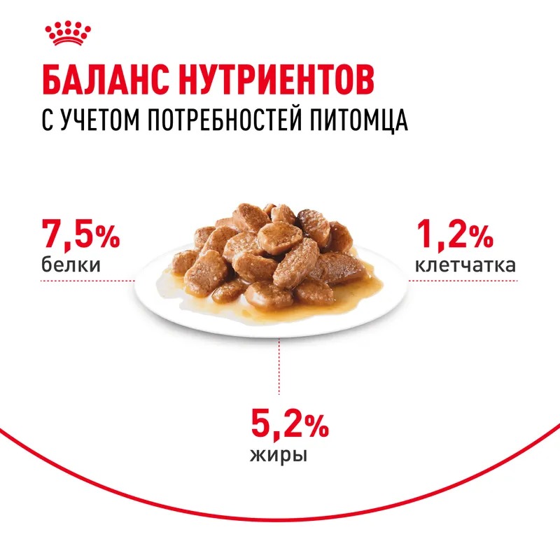 Влажный корм Royal Canin Mini Adult для взрослых собак мелких размеров от 10 месяцев, кусочки в соусе 85гр