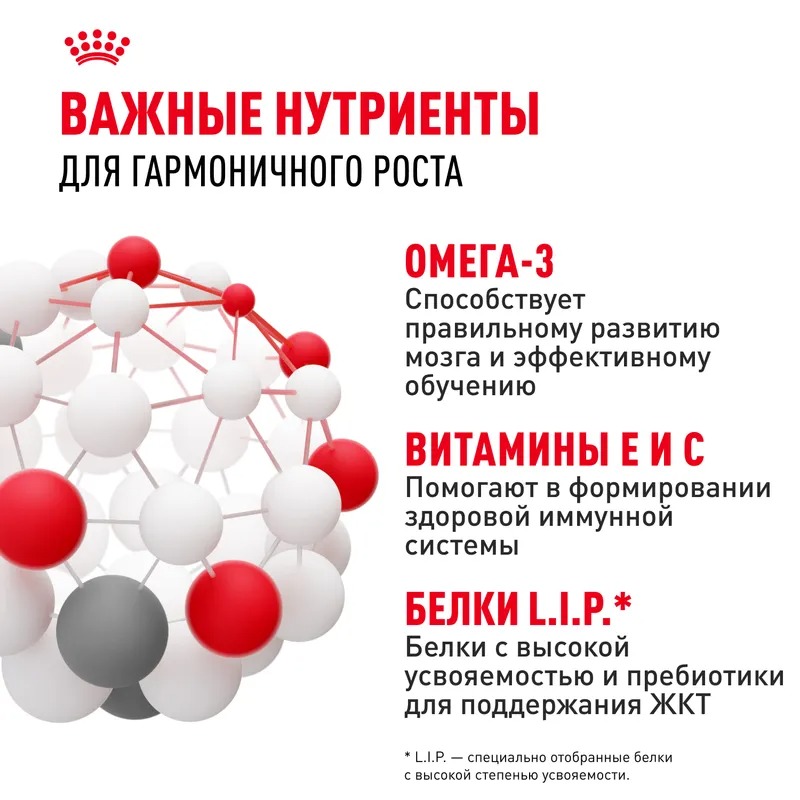 Сухой корм ROYAL CANIN Mini Puppy для щенков мелких пород до 10 месяцев 4 кг 4627109387625