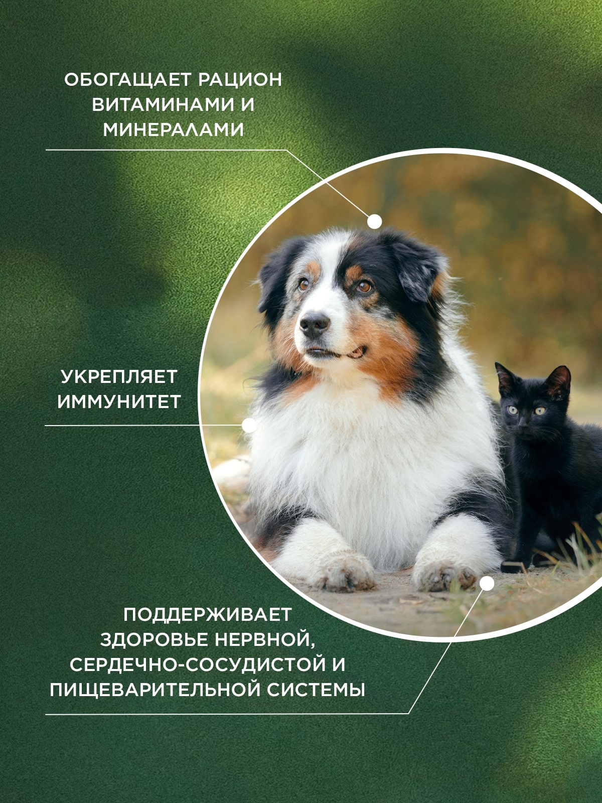 ProPhyto Мультивитамин, 70 таблеток