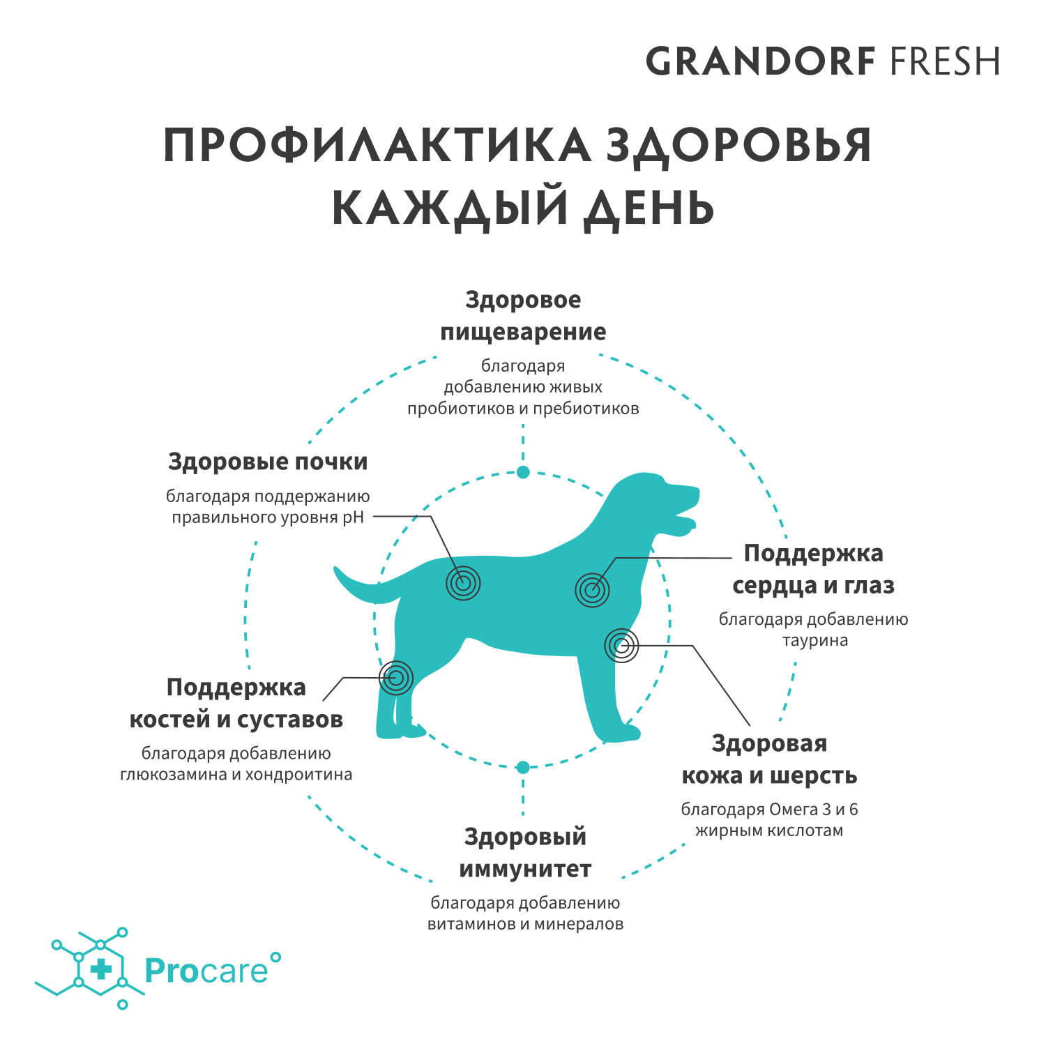 Grandorf Fresh Grandorf Сухой беззерновой корм для средних собак с ягненком 3 кг 5407007852864