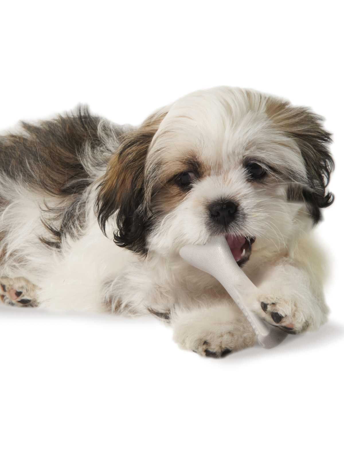 Petstages игрушка для собак Deerhorn, с оленьими рогами 9 см очень маленькая