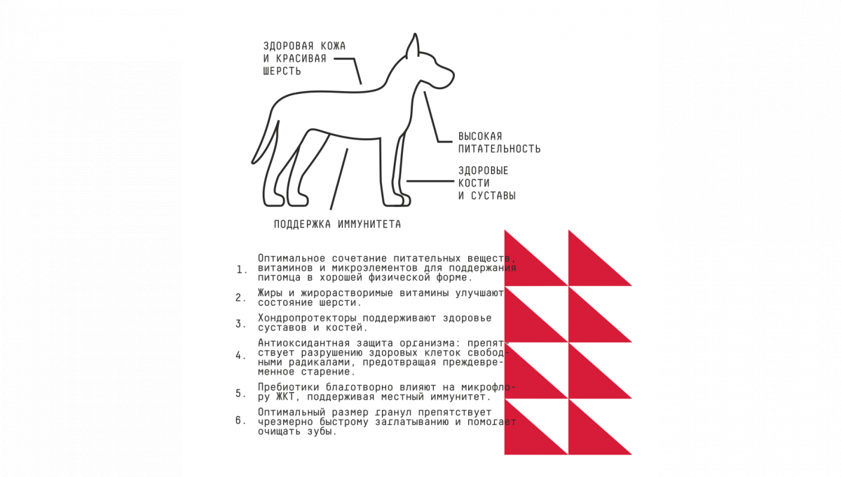 Ajo Сухой корм для собак крупных пород Maxi Adult с индейкой и олениной 12 кг 4630169560433