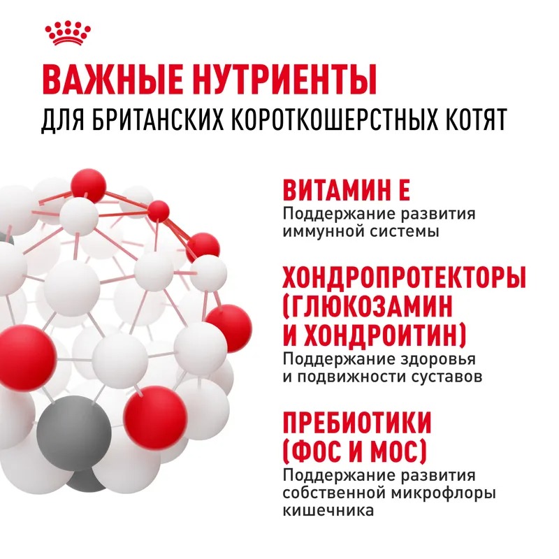 ROYAL CANIN British Kitten корм для Британских котят 2 кг 4627109383351