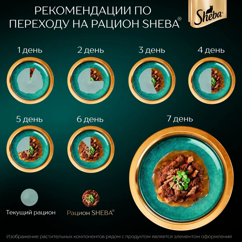 Sheba Влажный корм для кошек паштет, с индейкой, 75гр