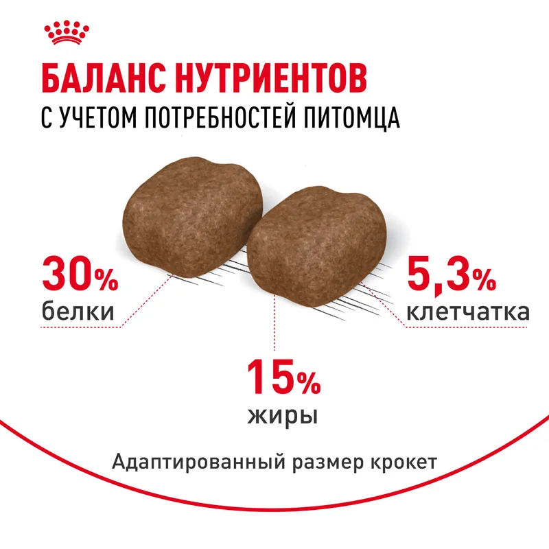 ROYAL CANIN Сухой корм для кошек Dental Care для профилактики образования зубного налета и зубного камня, 400гр
