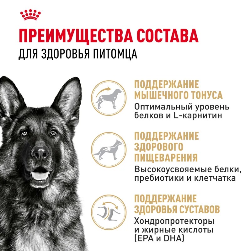 ROYAL CANIN German Shepherd сухой корм для собак породы Немецкая 11 кг 4627150230222