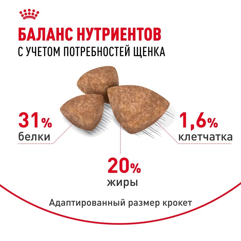 ROYAL CANIN X-Small Сухой корм для щенков миниатюрных пород 500 гр 4627109387472