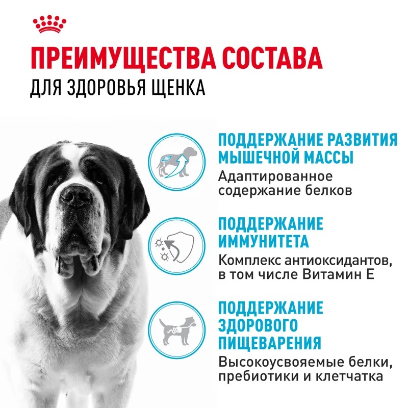 ROYAL CANIN Giant Junior корм сухой для щенков гигантских пород 3,5 кг