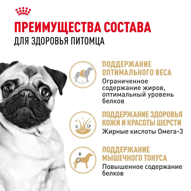 ROYAL CANIN Pug корм сухой для взрослых собак породы мопс 1,5 кг 4627109384075