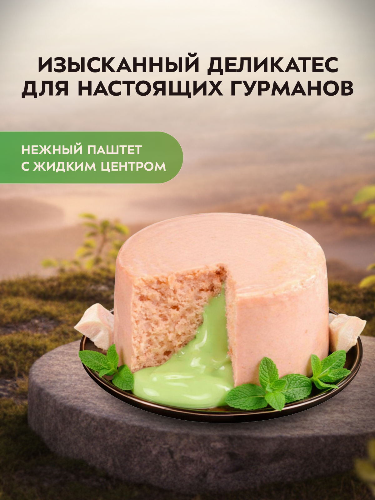 Влажный корм Мнямс Деликатес "Фондан" из мяса курицы с кошачьей мятой для кошек 80 г