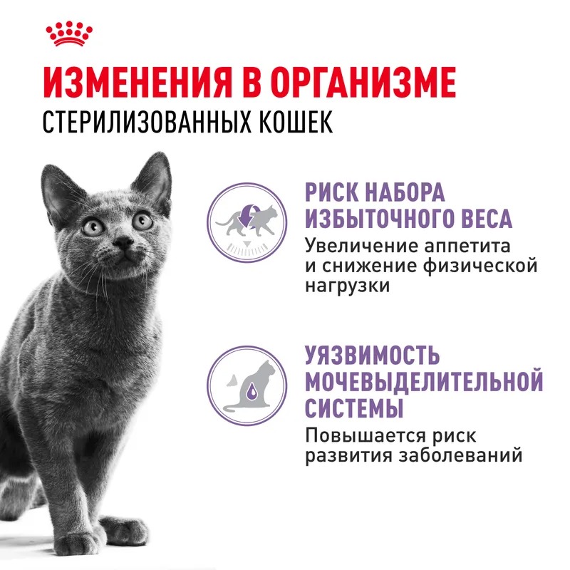 ROYAL CANIN Корм в желе для стерилизованных кошек 1шт-85гр