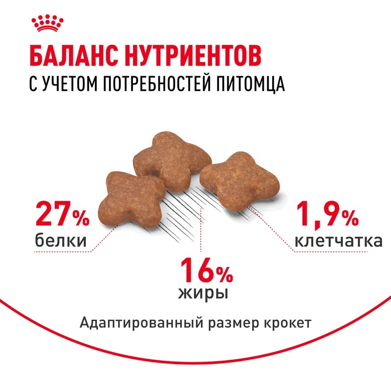 ROYAL CANIN ROYAL CANIN Mini Adult для взрослых собак мелких пород 8 кг 4627109384631