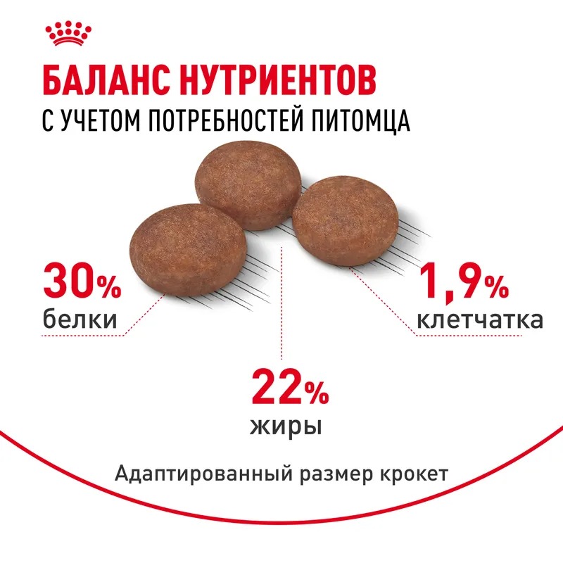 ROYAL CANIN Digestive для мелких собак с чувствительным пищеварением 3кг 4627150231656