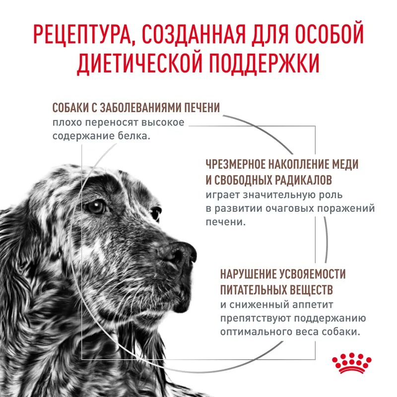 Royal Canin Hepatic Сухой корм для собак при заболевании печени 6 кг