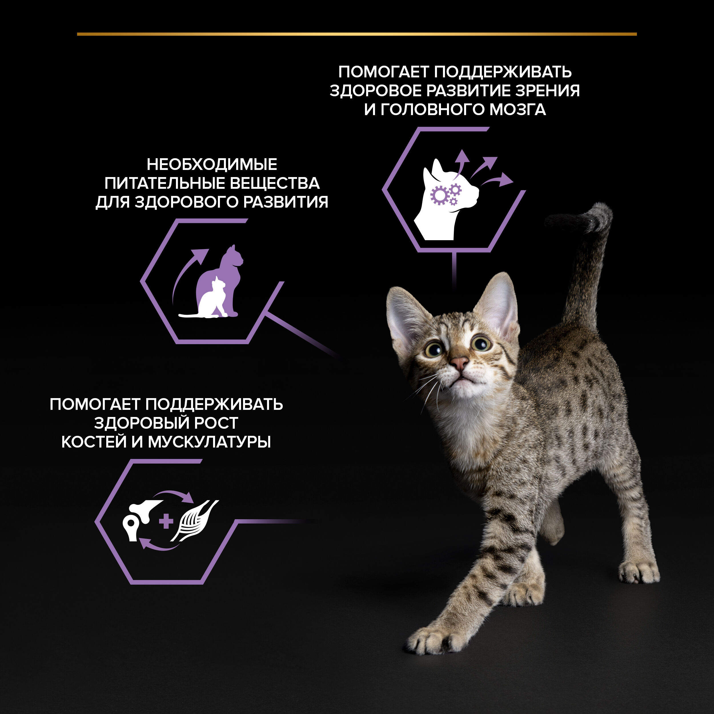PROPLAN HEALTHY START Влажный корм для котят, с говядиной в соусе, 85 г 7613035591202