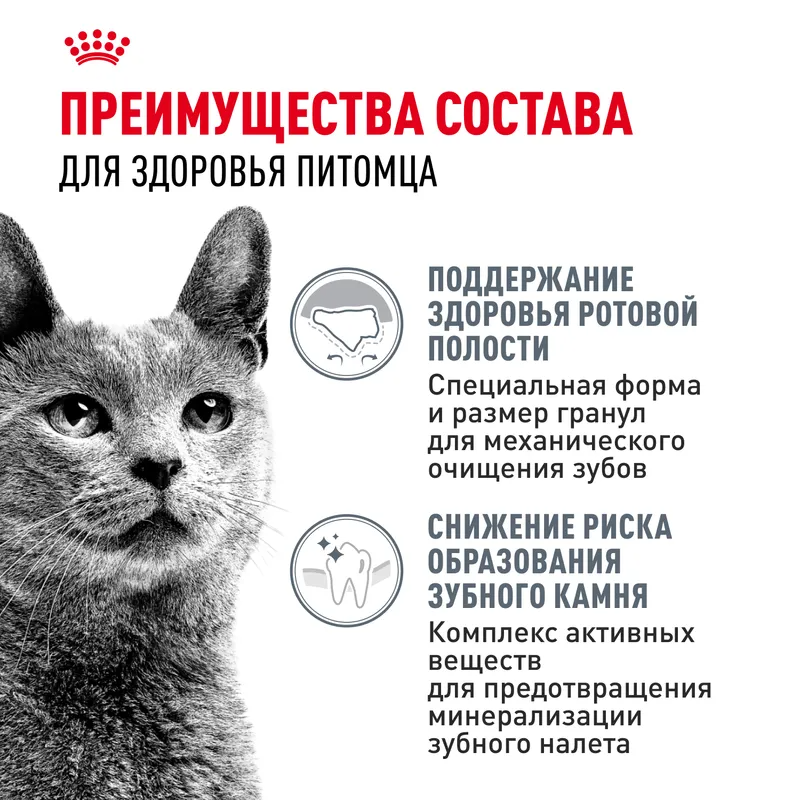 ROYAL CANIN Сухой корм для кошек Dental Care для профилактики образования зубного налета и зубного камня, 400гр