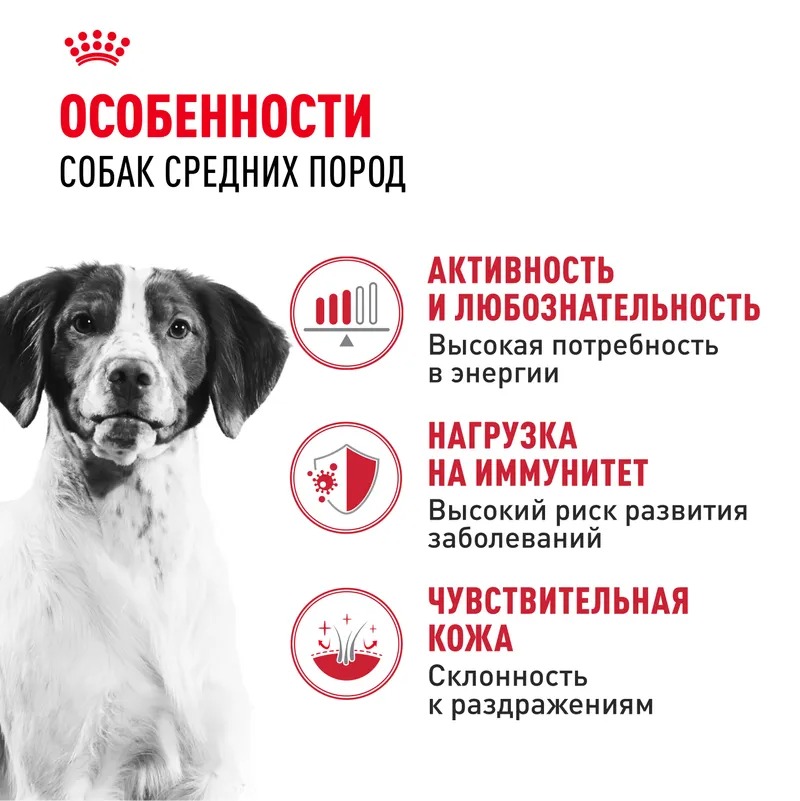 ROYAL CANIN Medium Adult для собак средних пород 15 кг 4627109384778