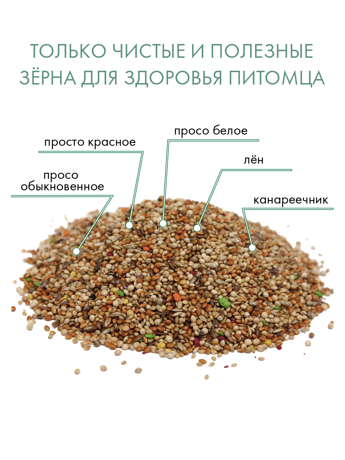 Корм Fiory Classic для экзотических птиц 400 г