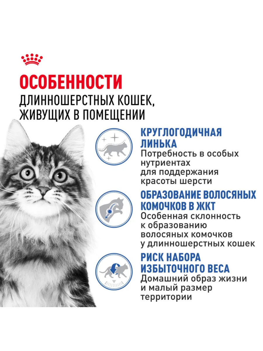 ROYAL CANIN Сухой корм для длинношерстных кошек живущих в помещении 400г